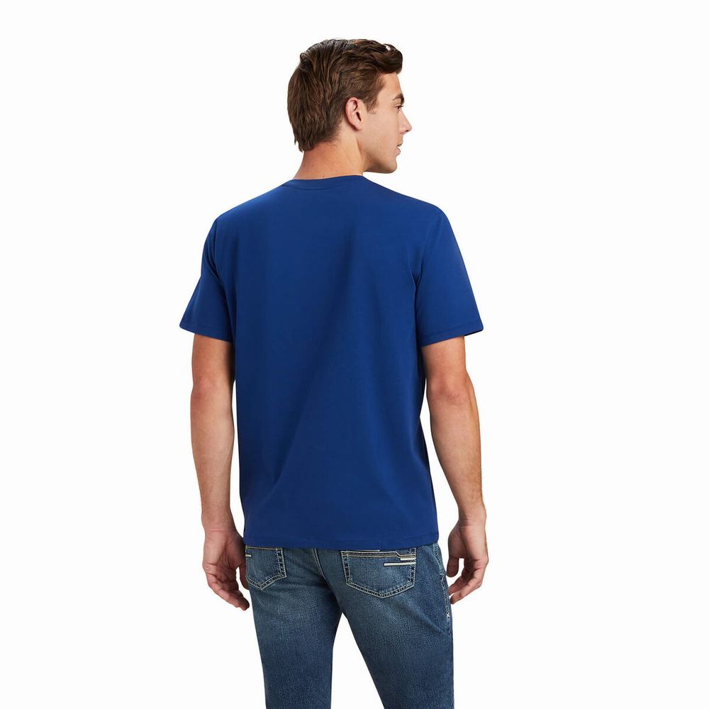 Magliette Polo Ariat Varsity Uomo Blu | IT134POYX