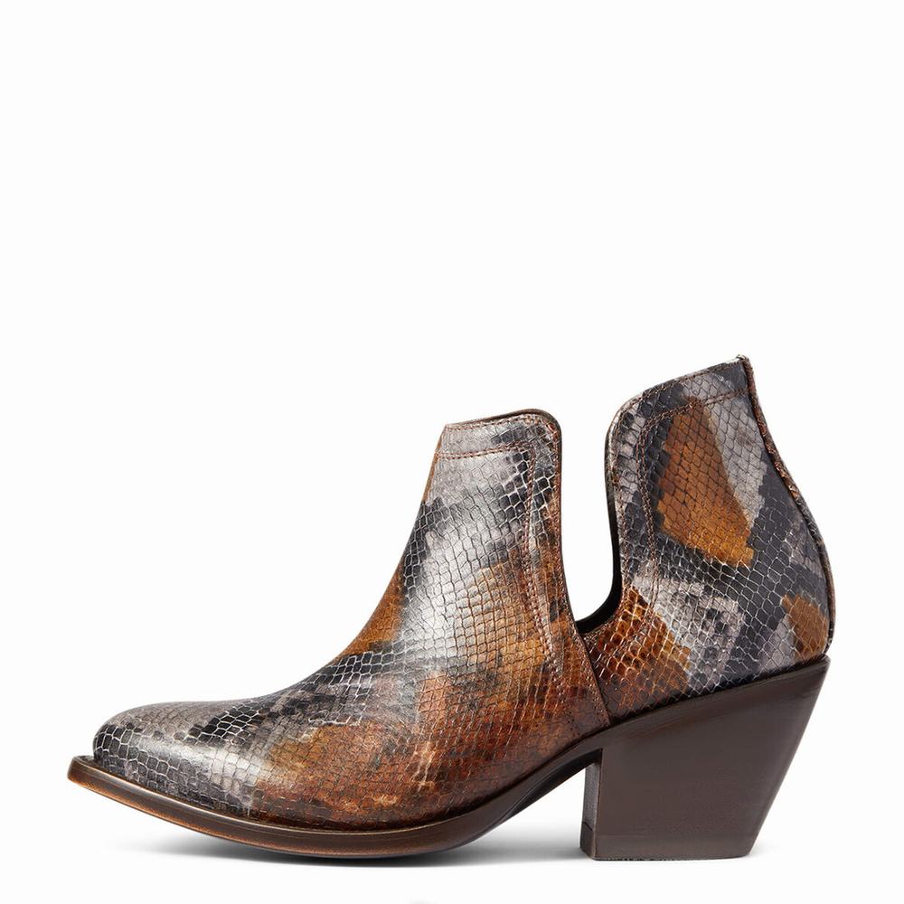 Stivaletti Ariat Dixon R Punta Donna Marroni Serpent | IT037PLEX