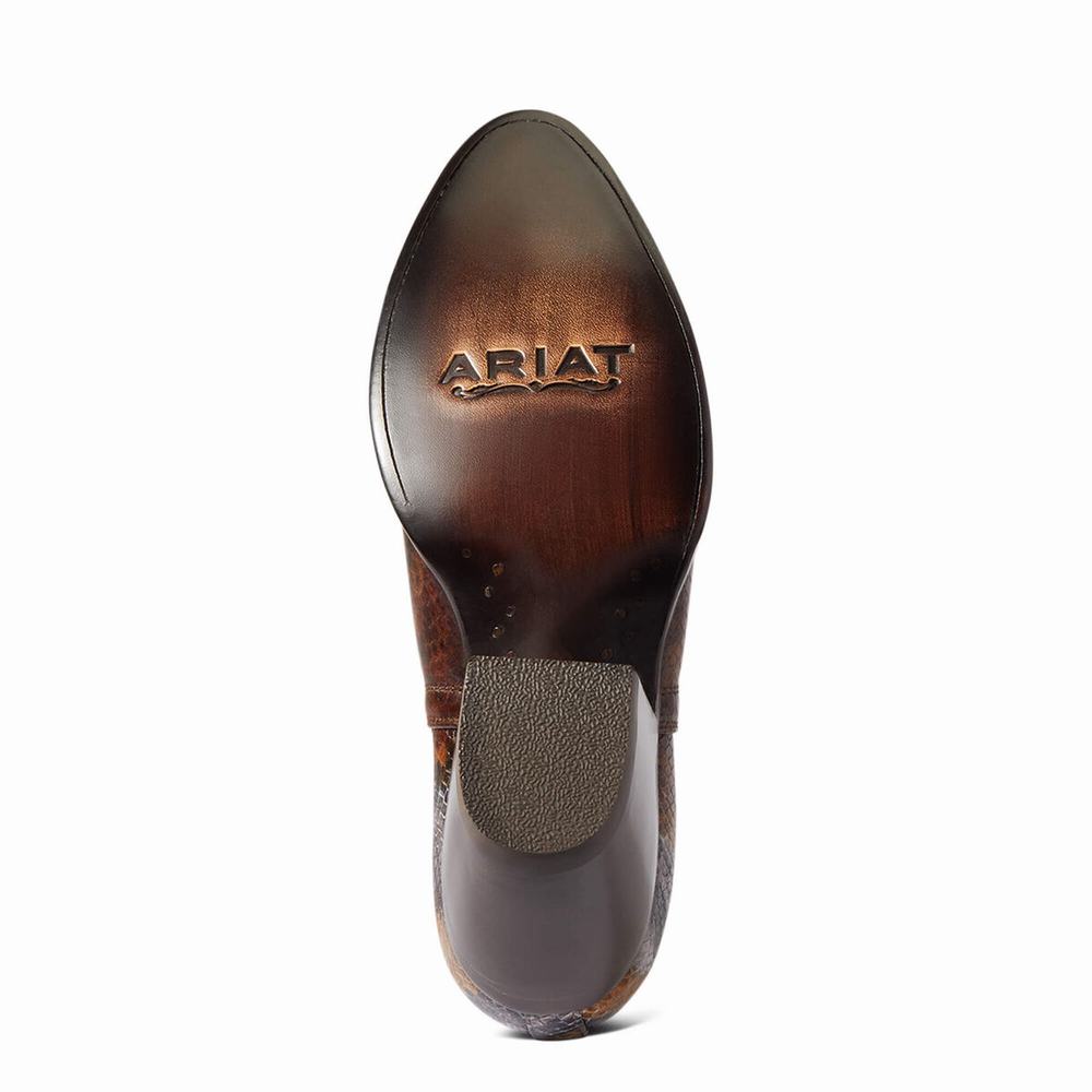 Stivaletti Ariat Dixon R Punta Donna Marroni Serpent | IT037PLEX