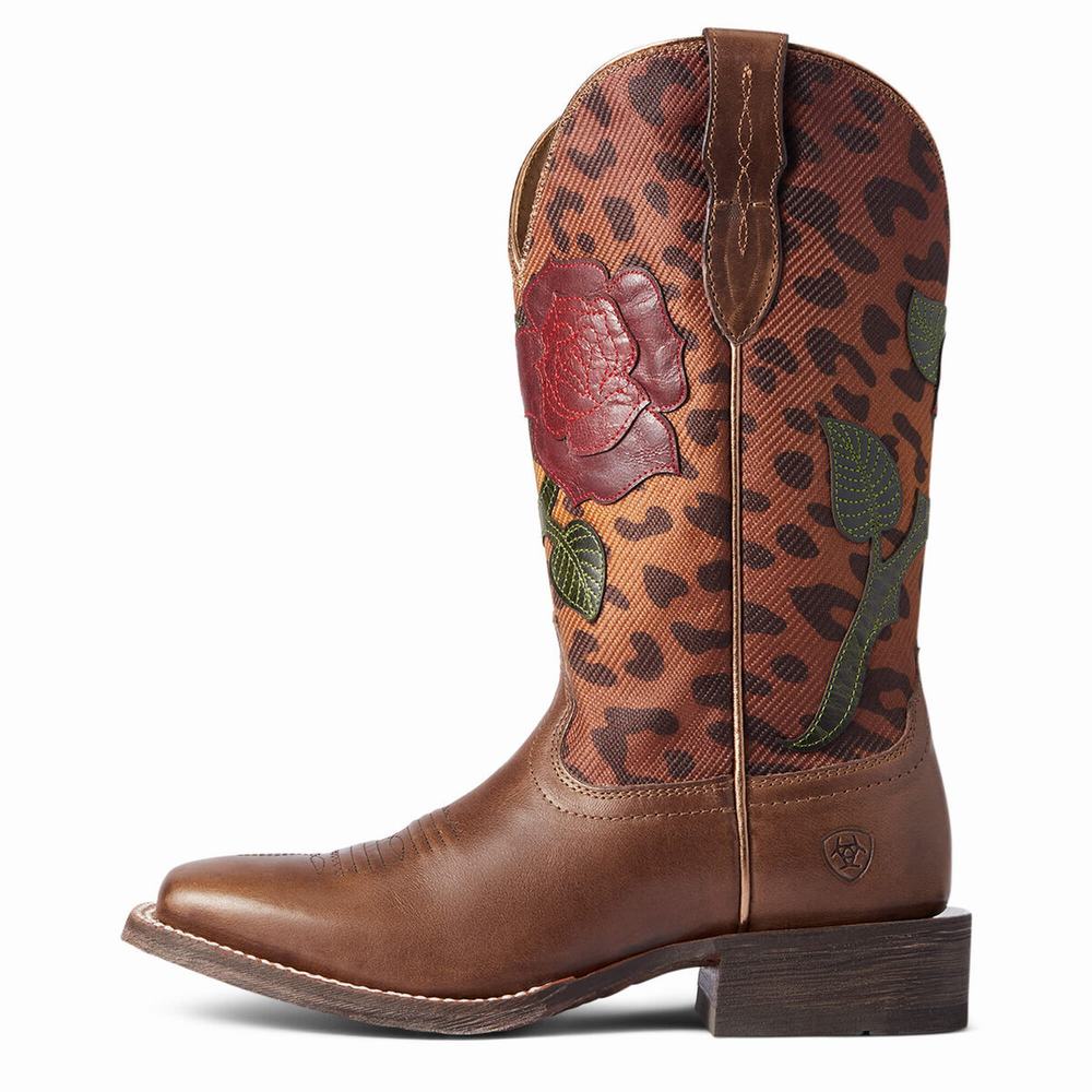 Stivali Eleganti Ariat Circuit Rosa Donna Colorate | IT790UIXV