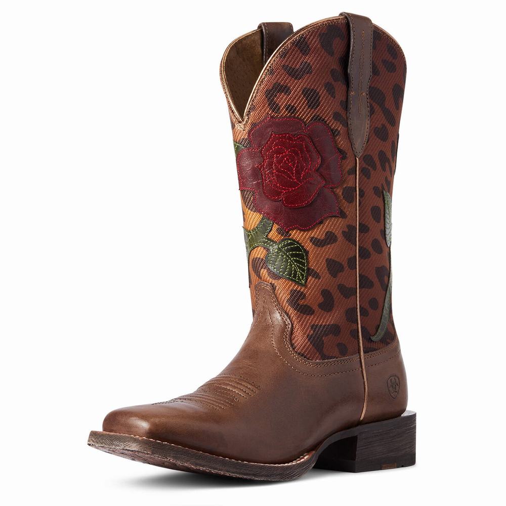 Stivali Eleganti Ariat Circuit Rosa Donna Colorate | IT790UIXV