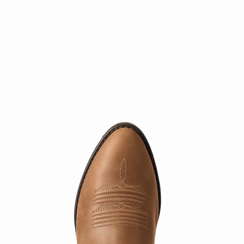 Stivali Eleganti Ariat Heritage Elastic Larghe Calf Donna Marroni | IT238ELTY