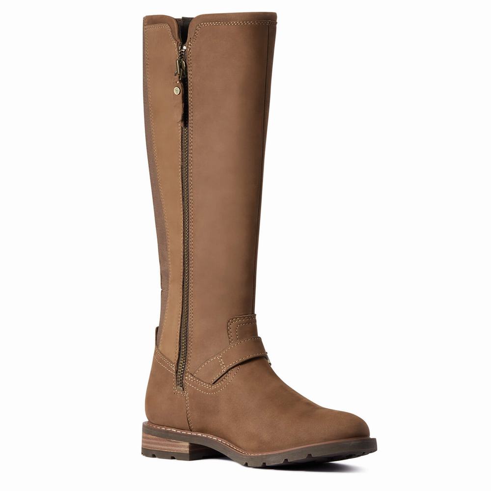 Stivali Eleganti Ariat Sadie Impermeabili Donna Colorate | IT156JCSA