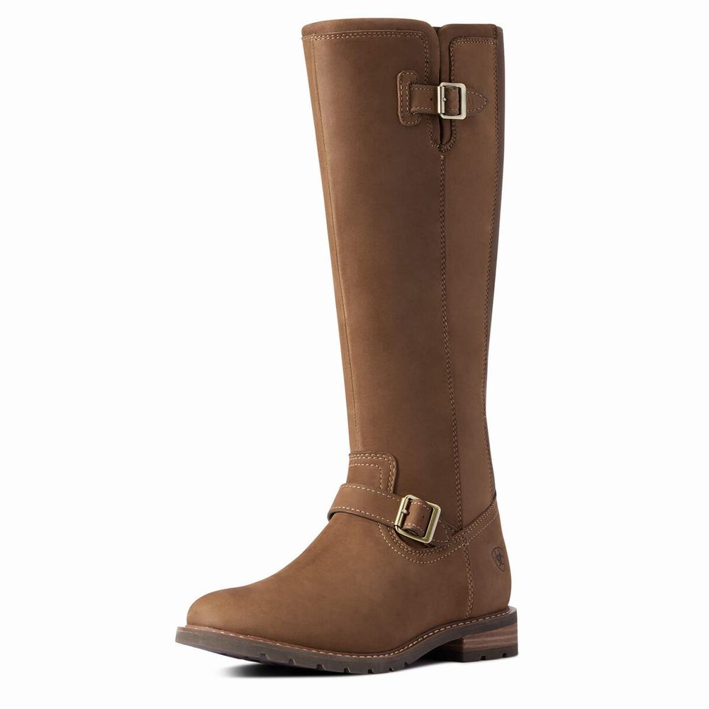 Stivali Eleganti Ariat Sadie Impermeabili Donna Colorate | IT156JCSA