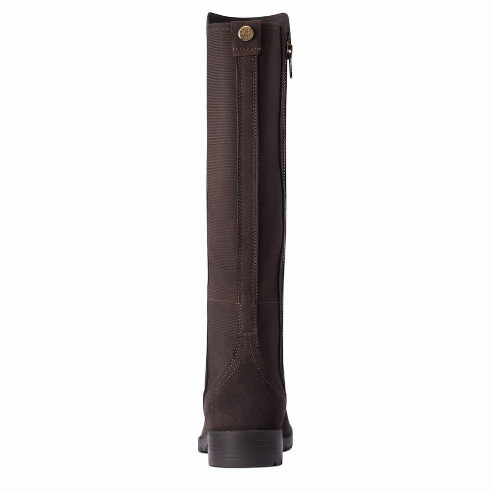 Stivali Eleganti Ariat Sutton II Impermeabili Donna Cioccolato | IT075JSTZ