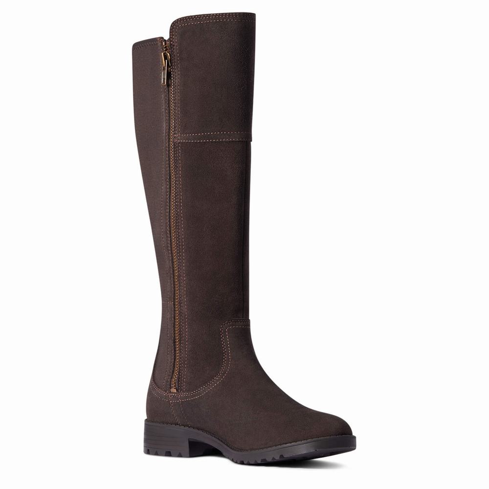 Stivali Eleganti Ariat Sutton II Impermeabili Donna Cioccolato | IT075JSTZ