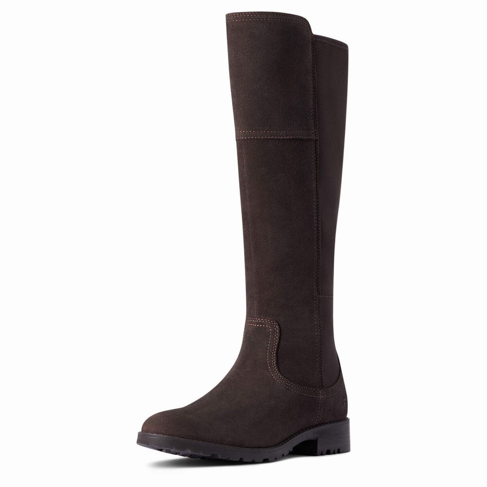 Stivali Eleganti Ariat Sutton II Impermeabili Donna Cioccolato | IT075JSTZ