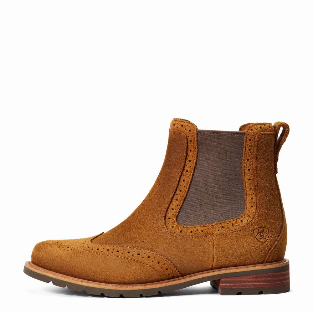 Stivali Impermeabili Ariat Wexford Brogue Impermeabili Donna Arancioni | IT271BFWM