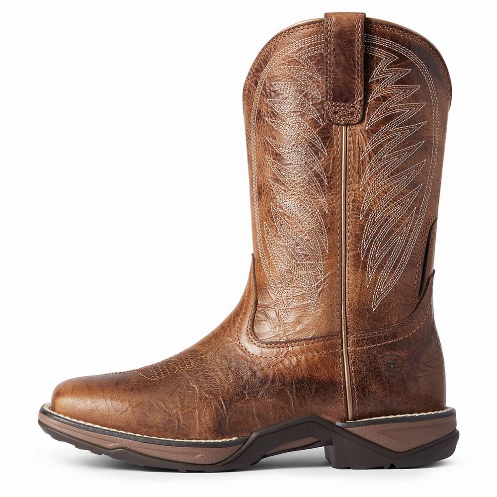 Stivali Western Ariat Anthem 2.0 Donna Colorate | IT594LZYD