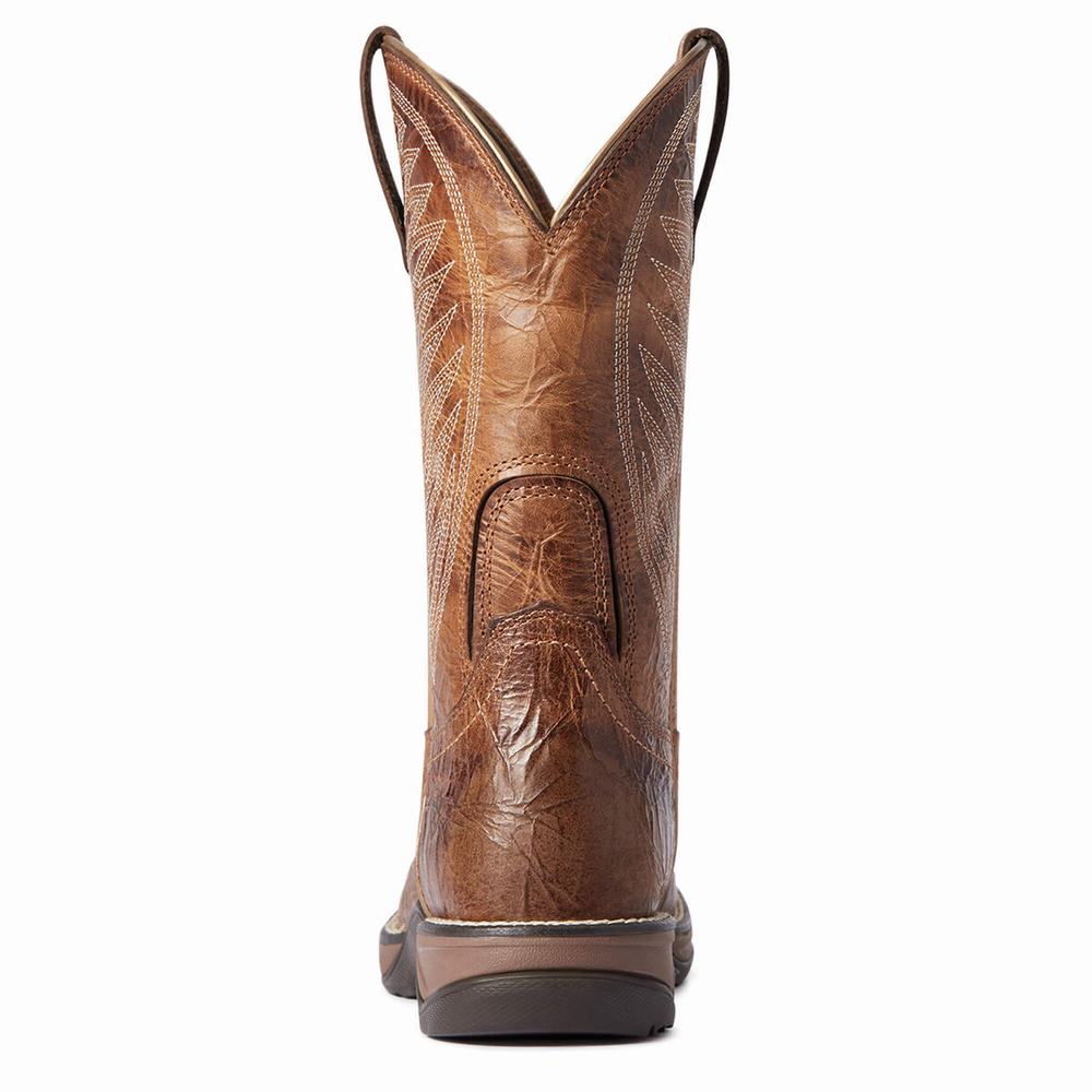 Stivali Western Ariat Anthem 2.0 Donna Colorate | IT594LZYD