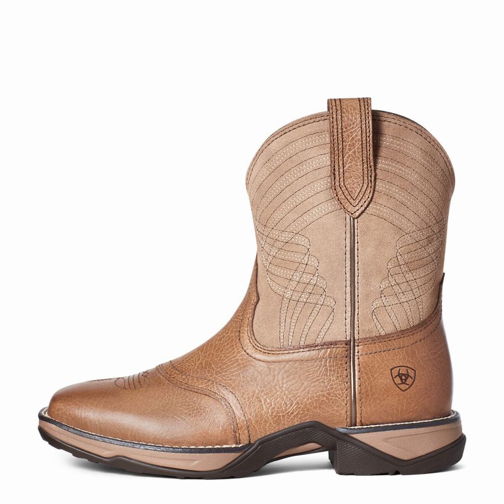 Stivali Western Ariat Anthem Donna Colorate | IT091HDKX