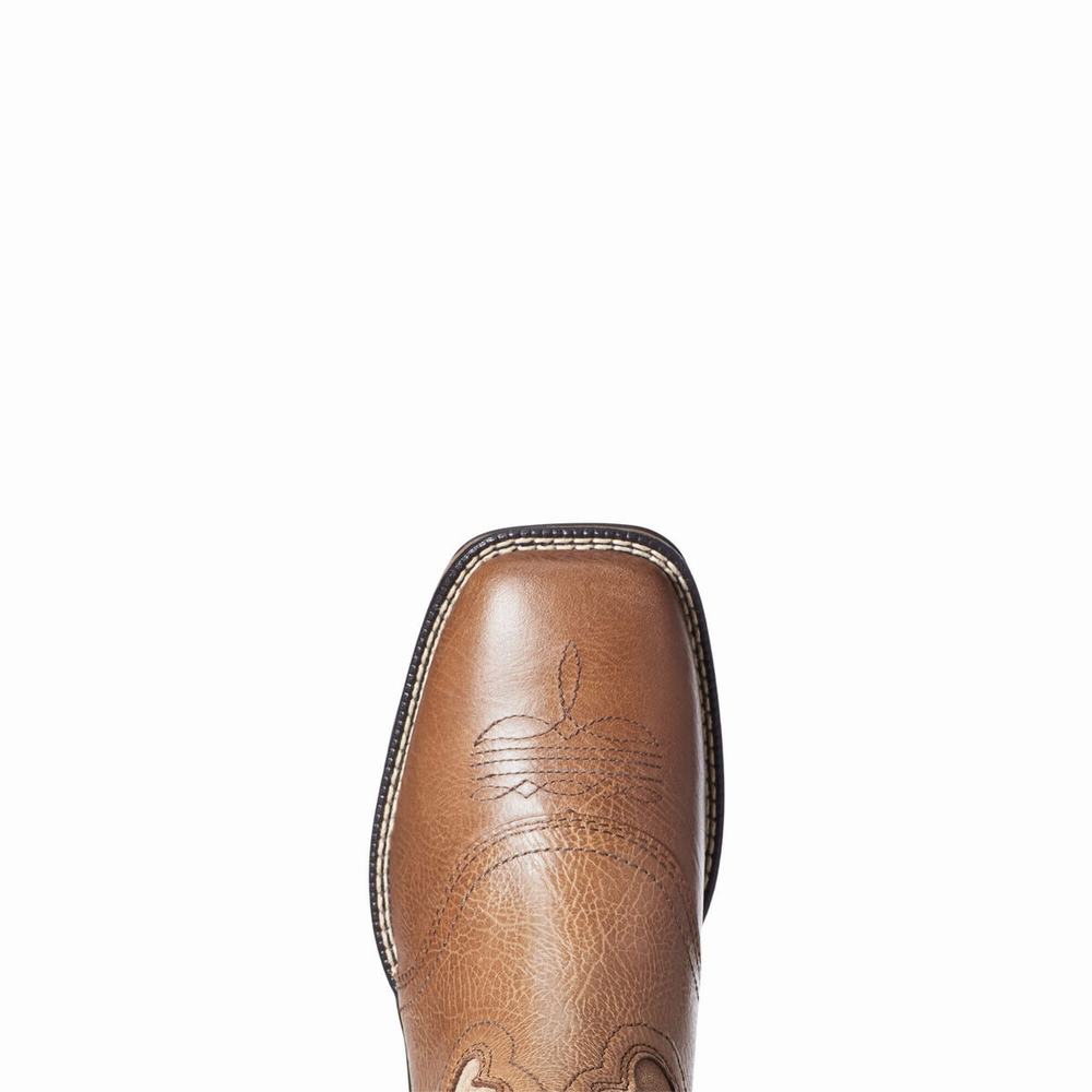 Stivali Western Ariat Anthem Donna Colorate | IT091HDKX