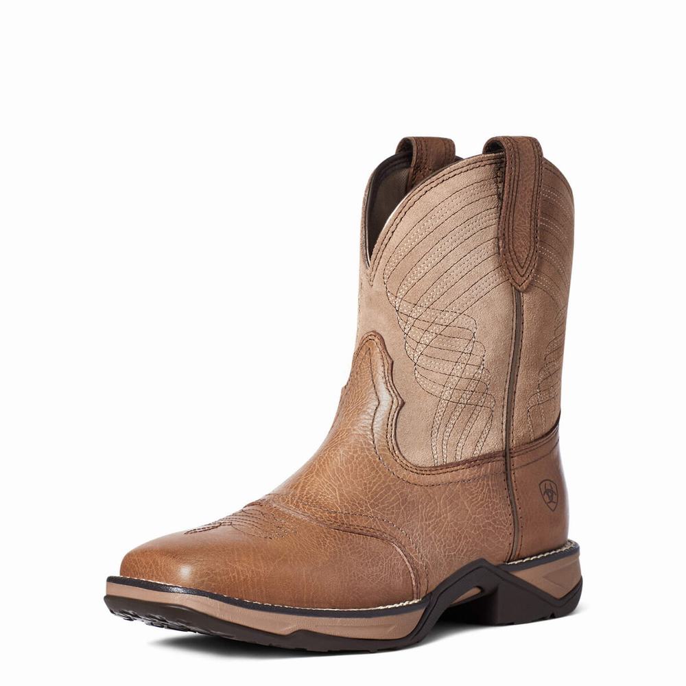 Stivali Western Ariat Anthem Donna Colorate | IT091HDKX