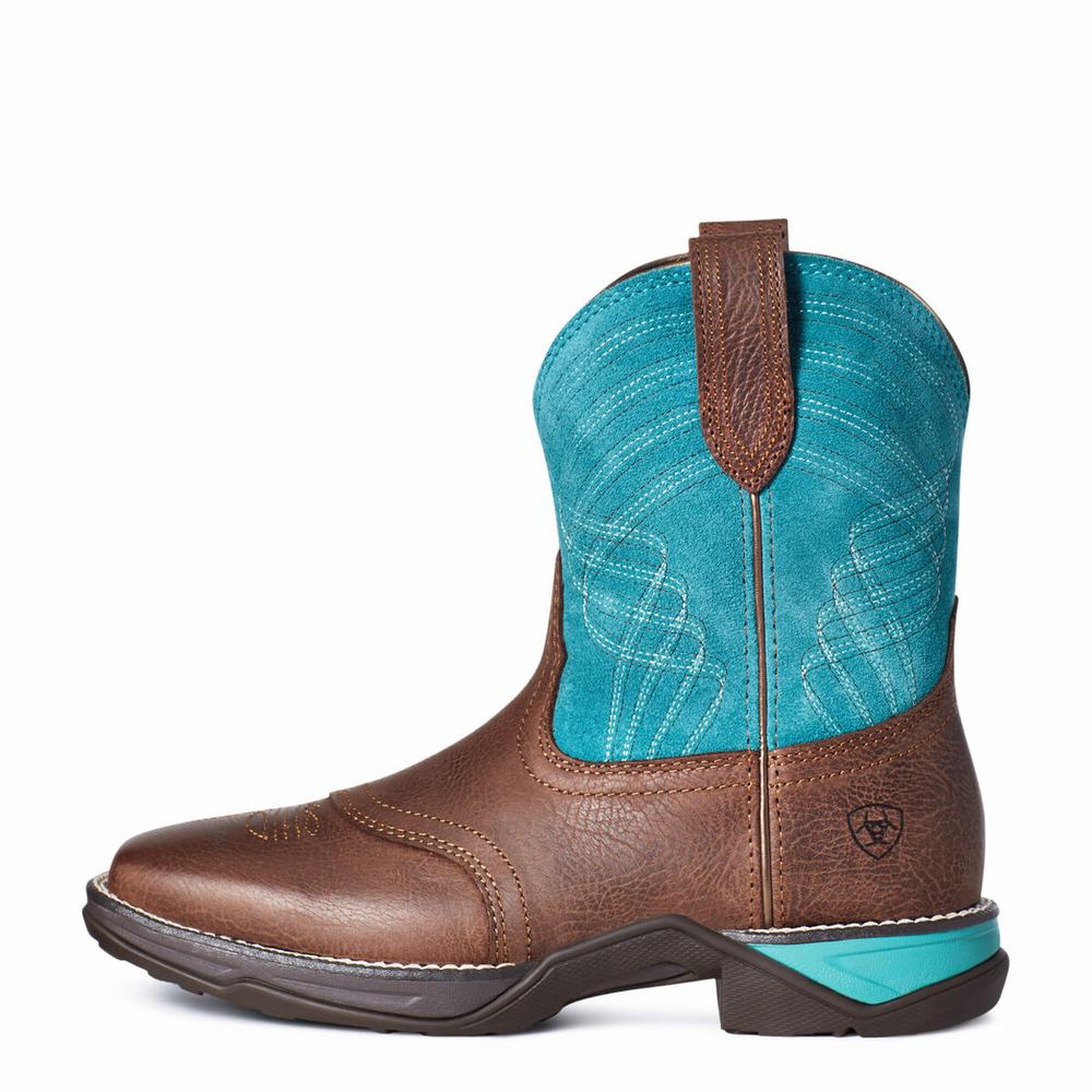 Stivali Western Ariat Anthem Donna Colorate | IT573IAQS