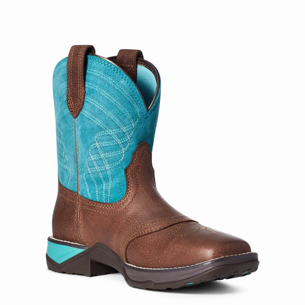 Stivali Western Ariat Anthem Donna Colorate | IT573IAQS