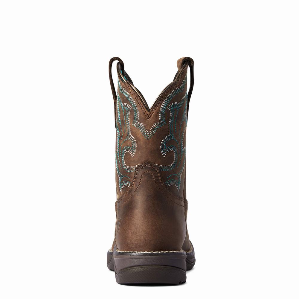 Stivali Western Ariat Anthem II Donna Marroni | IT814LPFR