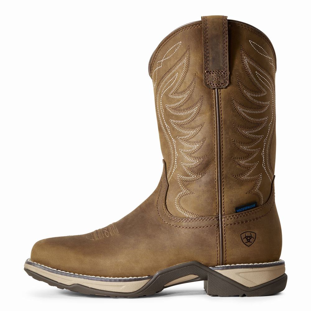 Stivali Western Ariat Anthem Impermeabili Donna Marroni | IT821KICJ