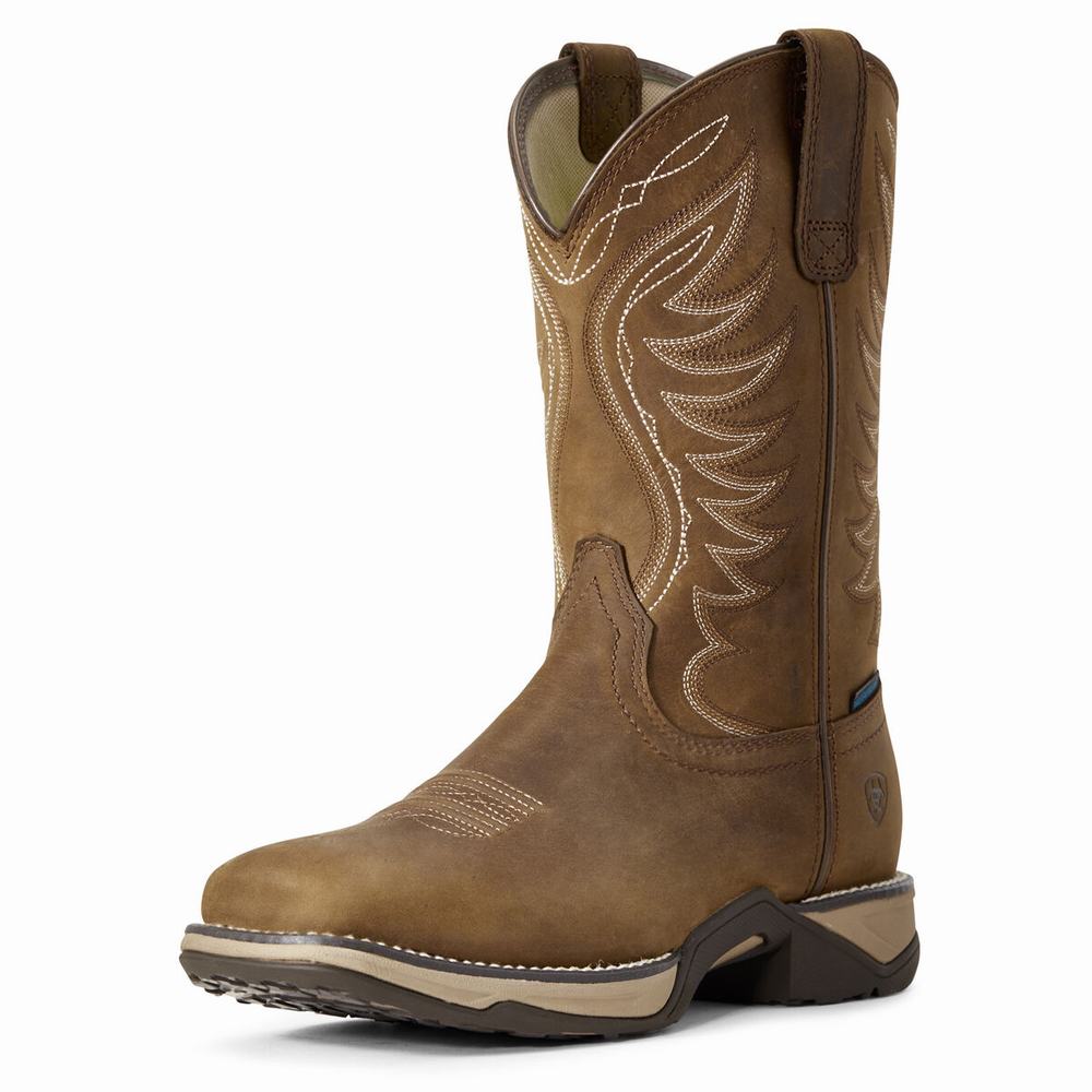 Stivali Western Ariat Anthem Impermeabili Donna Marroni | IT821KICJ