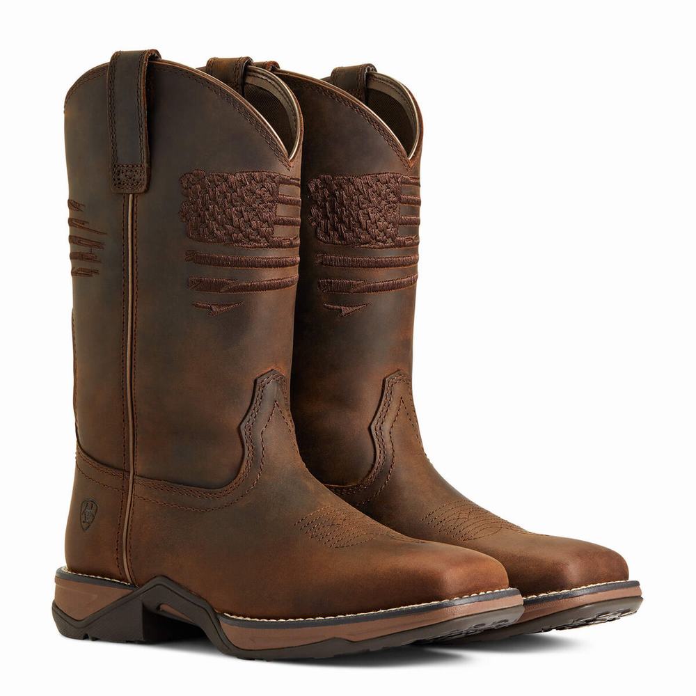 Stivali Western Ariat Anthem Patriot Donna Marroni | IT376RUYQ