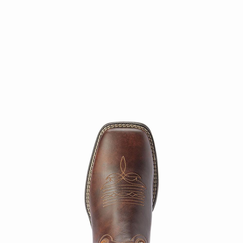 Stivali Western Ariat Anthem Savanna Donna Colorate | IT967VBIU