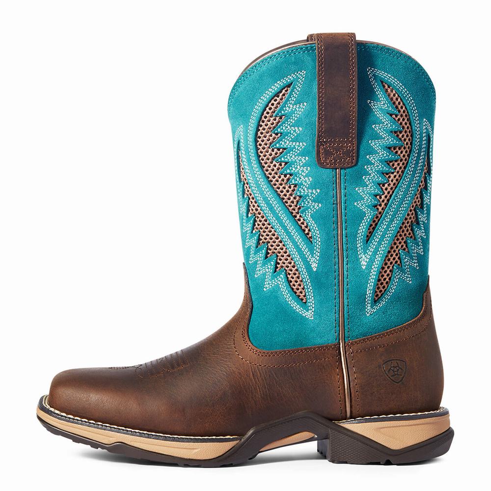 Stivali Western Ariat Anthem VentTEK Donna Cioccolato | IT357IMDY