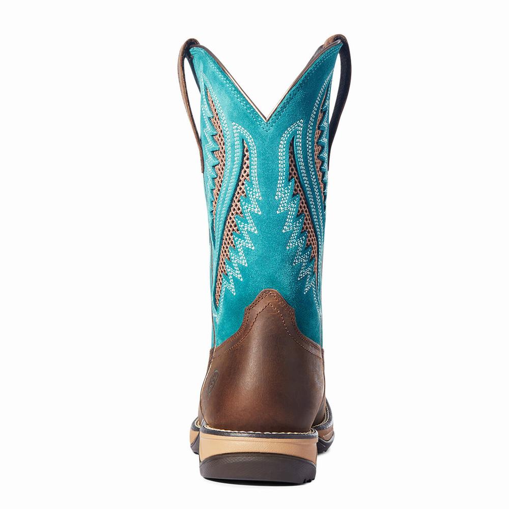 Stivali Western Ariat Anthem VentTEK Donna Cioccolato | IT357IMDY