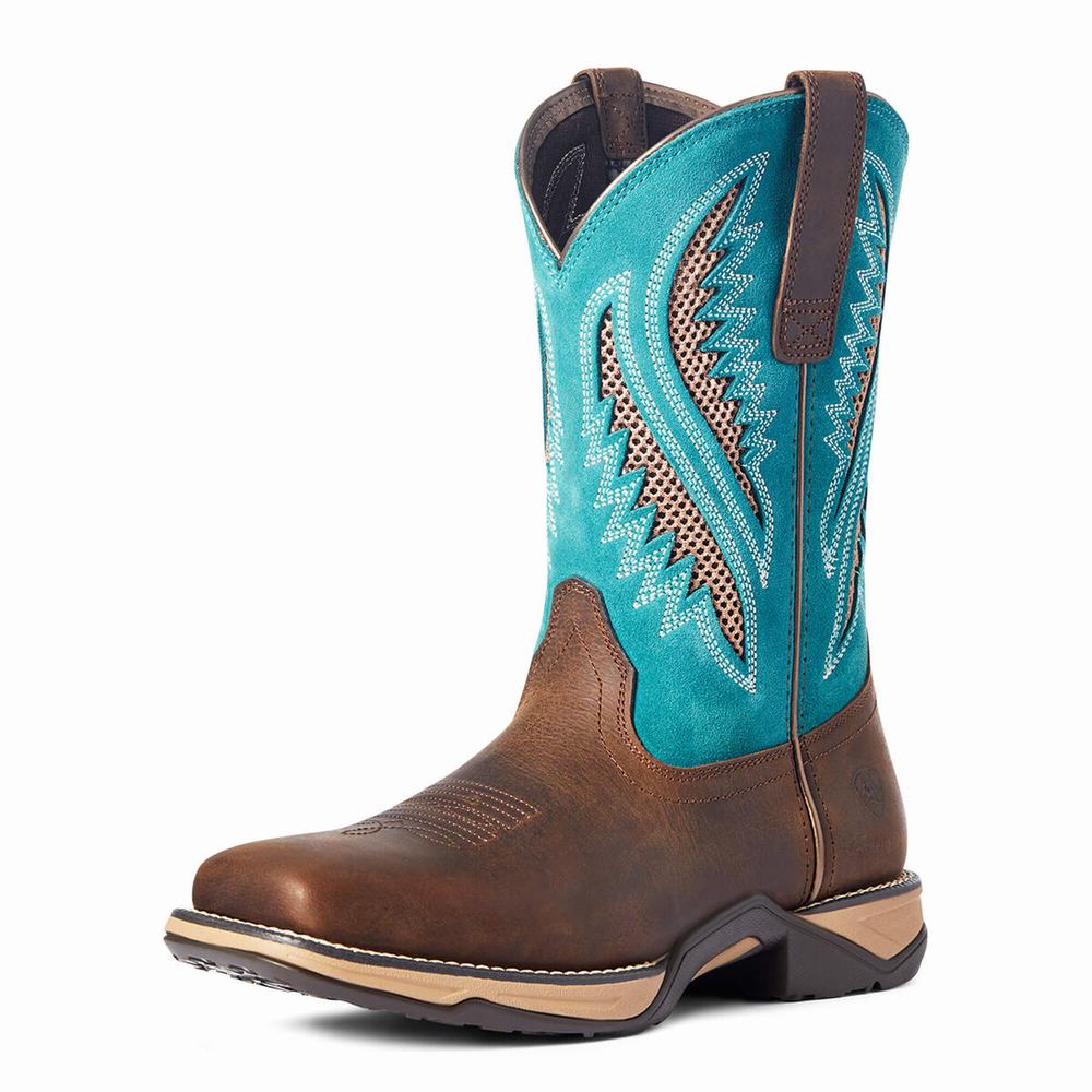 Stivali Western Ariat Anthem VentTEK Donna Cioccolato | IT357IMDY