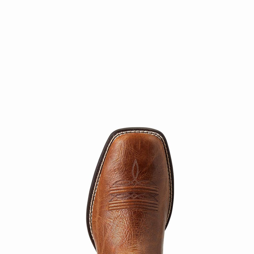 Stivali Western Ariat Brander Uomo Marroni Scuro | IT524WAIU