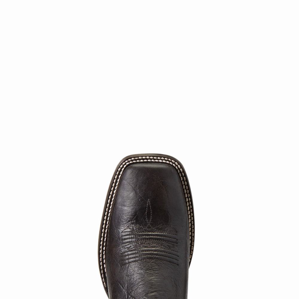 Stivali Western Ariat Circuit Eagle Uomo Marroni | IT215XRHV