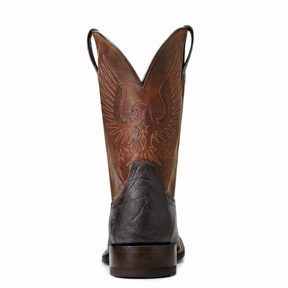 Stivali Western Ariat Circuit Eagle Uomo Marroni | IT215XRHV