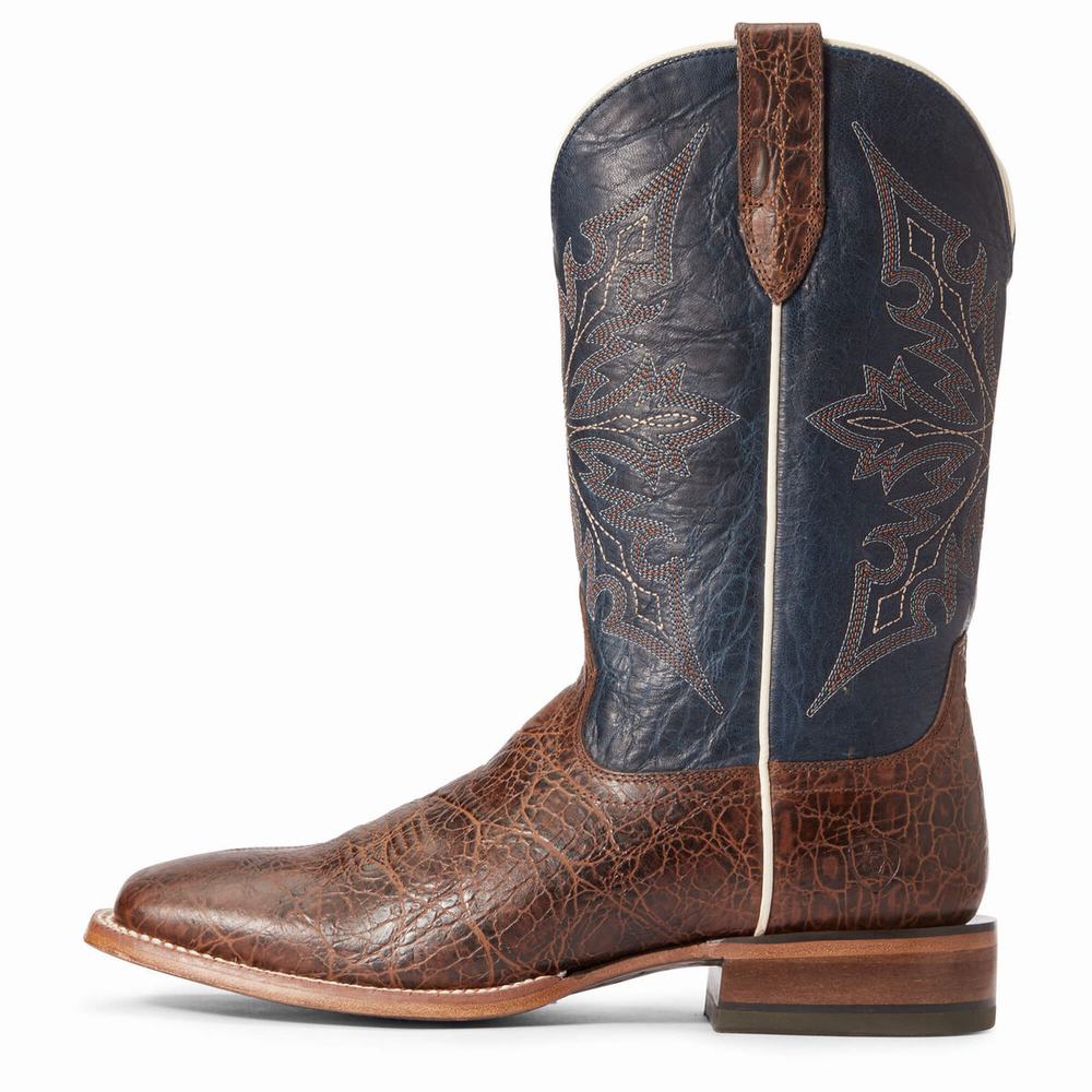 Stivali Western Ariat Circuit Gritty Uomo Colorate | IT529PSRC