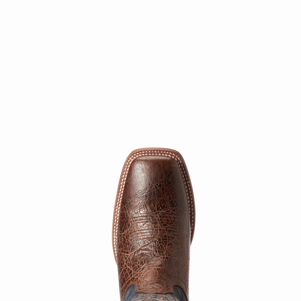 Stivali Western Ariat Circuit Gritty Uomo Colorate | IT529PSRC