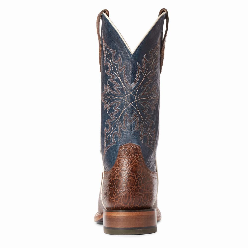 Stivali Western Ariat Circuit Gritty Uomo Colorate | IT529PSRC