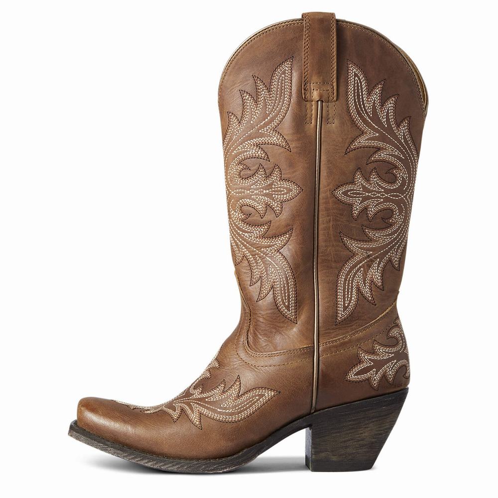 Stivali Western Ariat Circuit Rosewood Donna Beige Marroni | IT731WXYO