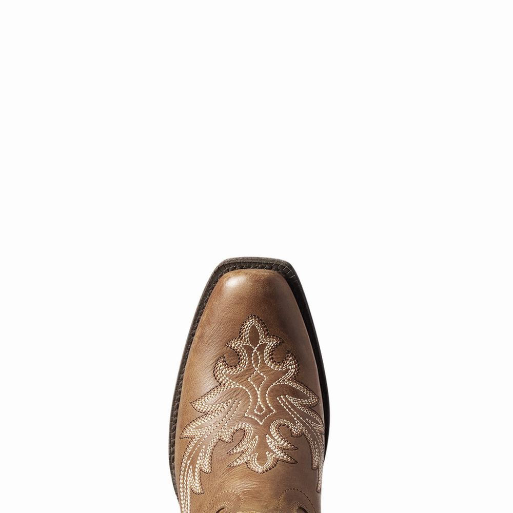 Stivali Western Ariat Circuit Rosewood Donna Beige Marroni | IT731WXYO