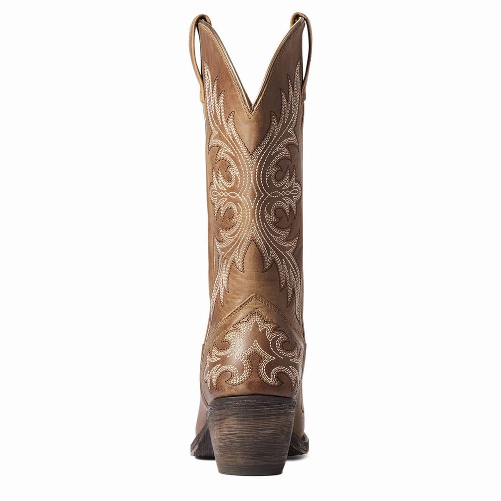 Stivali Western Ariat Circuit Rosewood Donna Beige Marroni | IT731WXYO