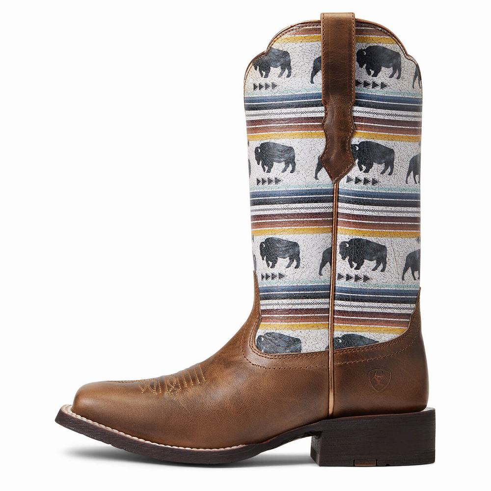 Stivali Western Ariat Circuit Savanna Donna Grigie Marroni | IT169IGWQ