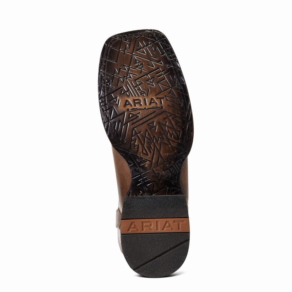 Stivali Western Ariat Circuit Savanna Donna Grigie Marroni | IT169IGWQ