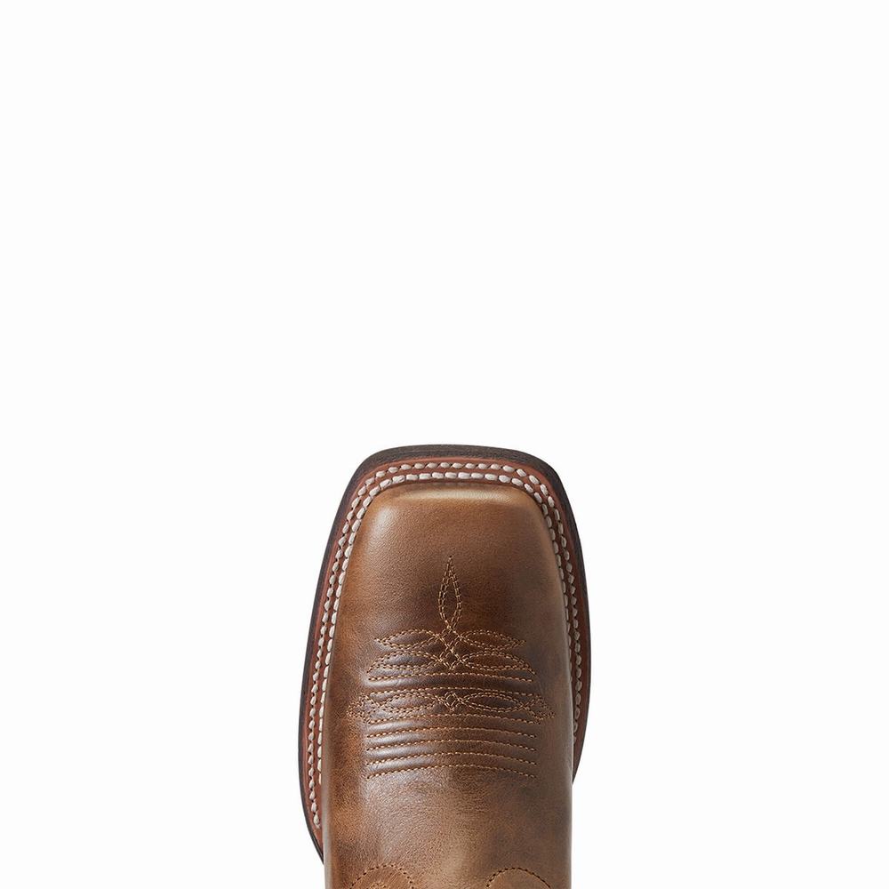 Stivali Western Ariat Circuit Savanna Donna Grigie Marroni | IT169IGWQ