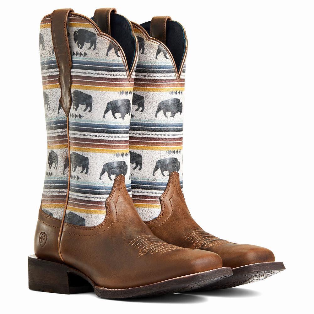 Stivali Western Ariat Circuit Savanna Donna Grigie Marroni | IT169IGWQ