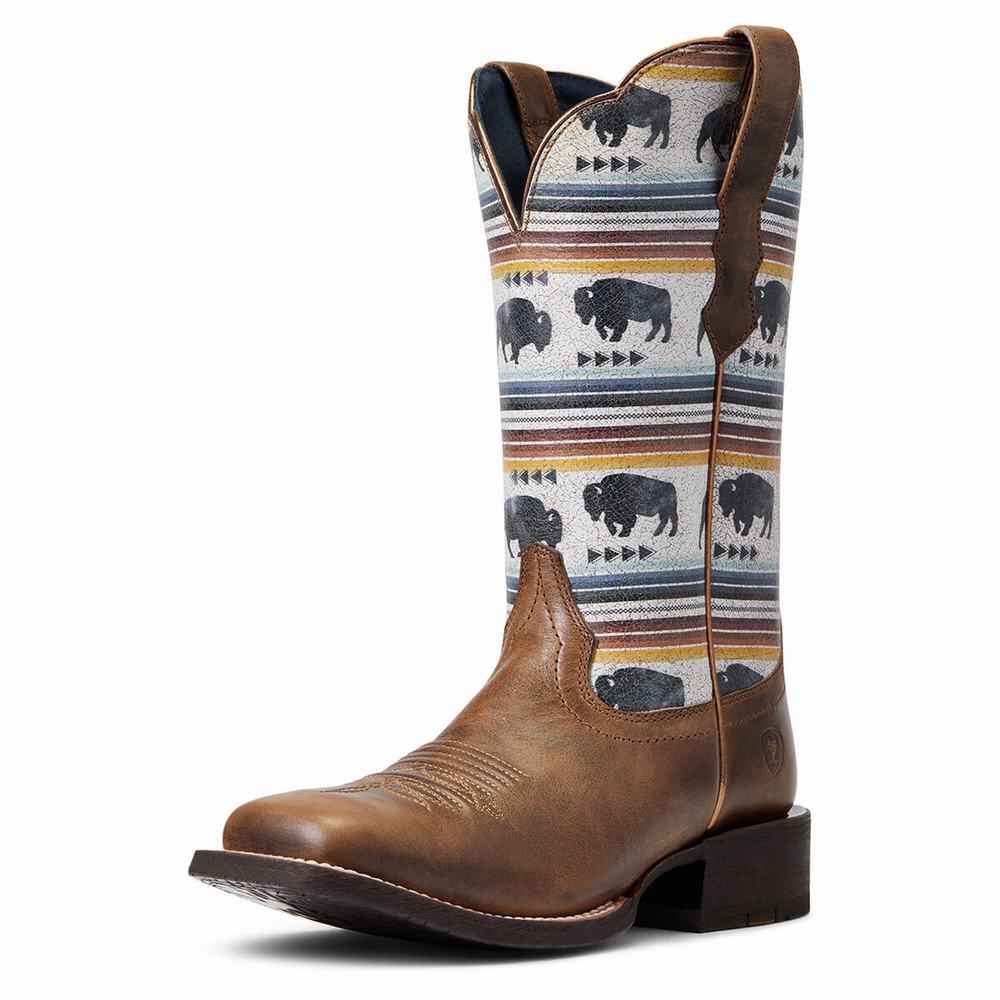 Stivali Western Ariat Circuit Savanna Donna Grigie Marroni | IT169IGWQ