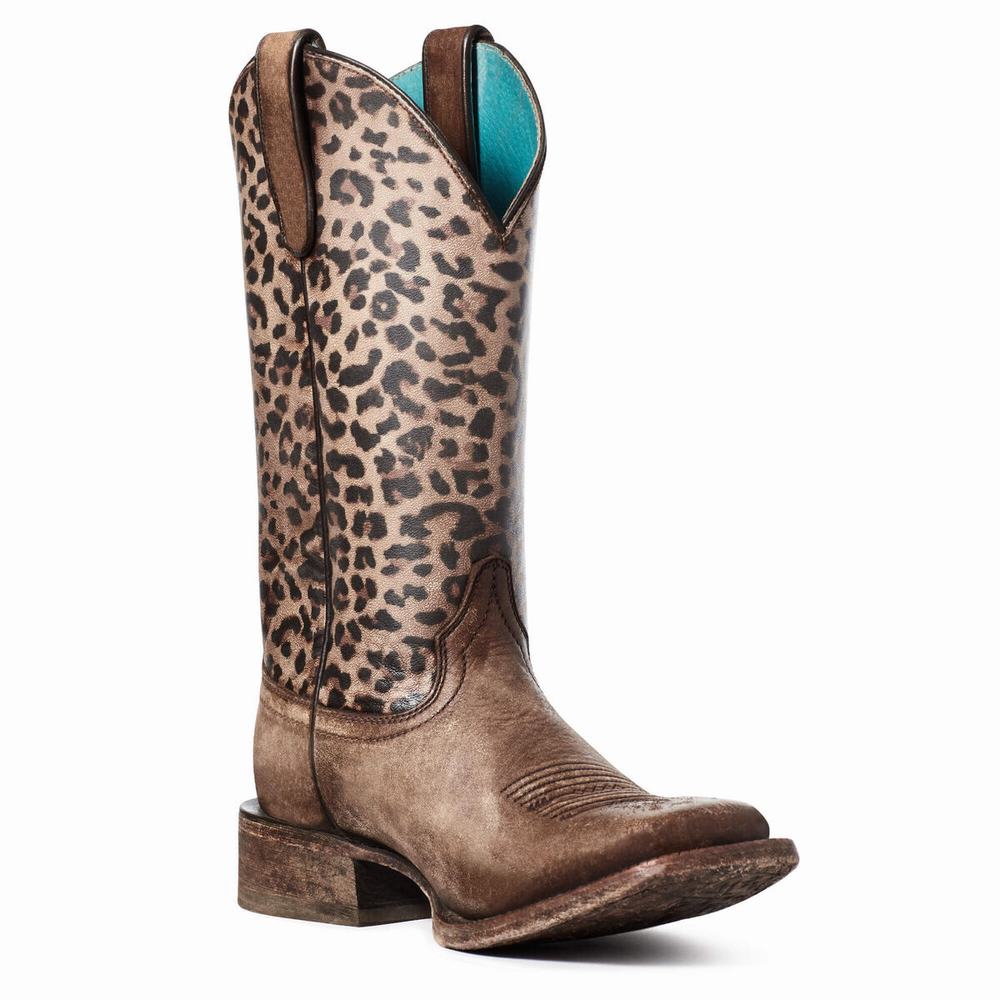 Stivali Western Ariat Circuit Savanna Donna Marroni | IT940RTEJ