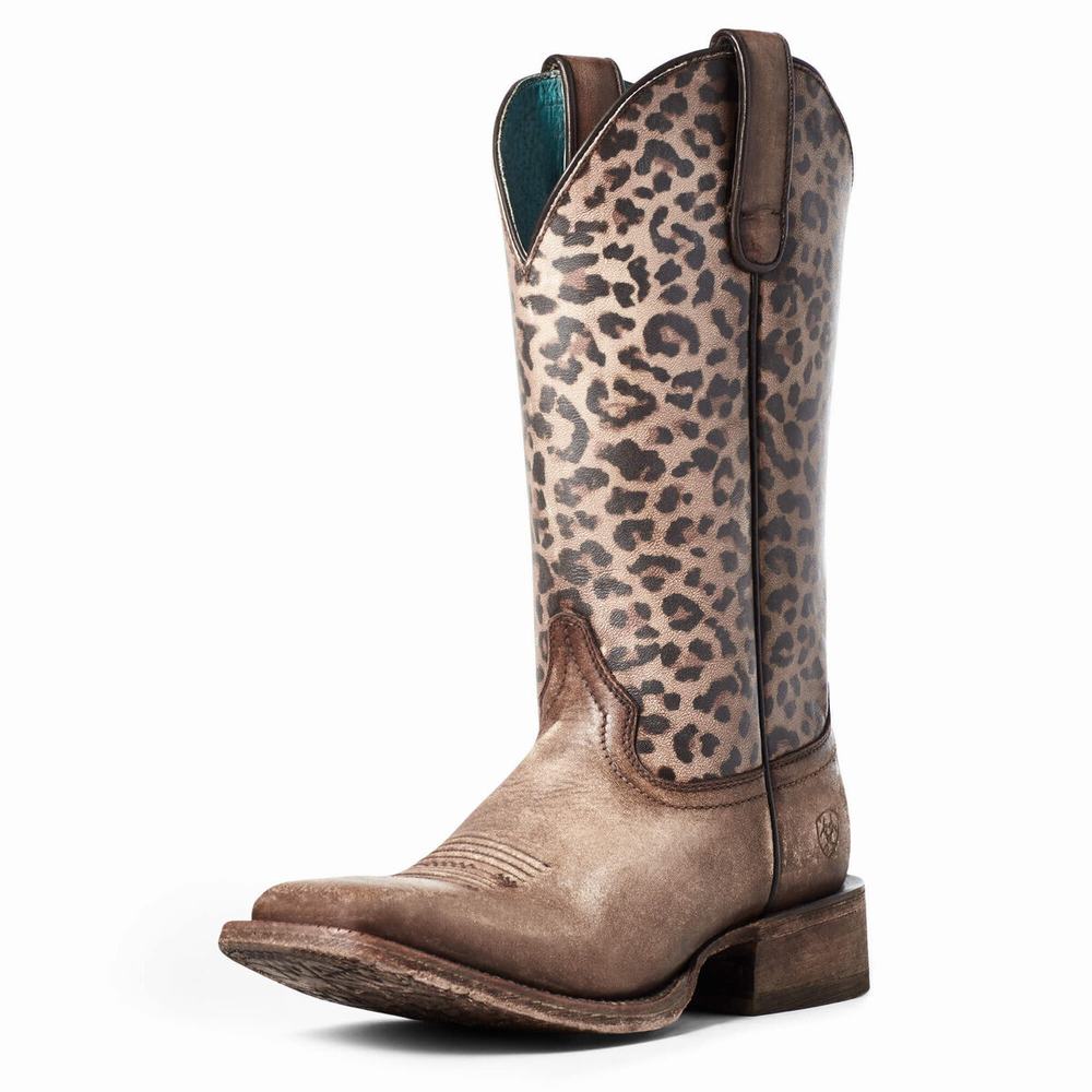 Stivali Western Ariat Circuit Savanna Donna Marroni | IT940RTEJ