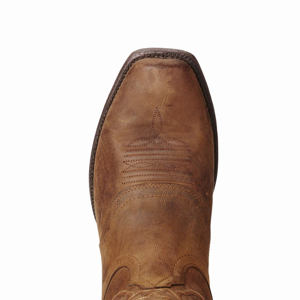 Stivali Western Ariat Circuit Striker Uomo Marroni | IT159SOAX