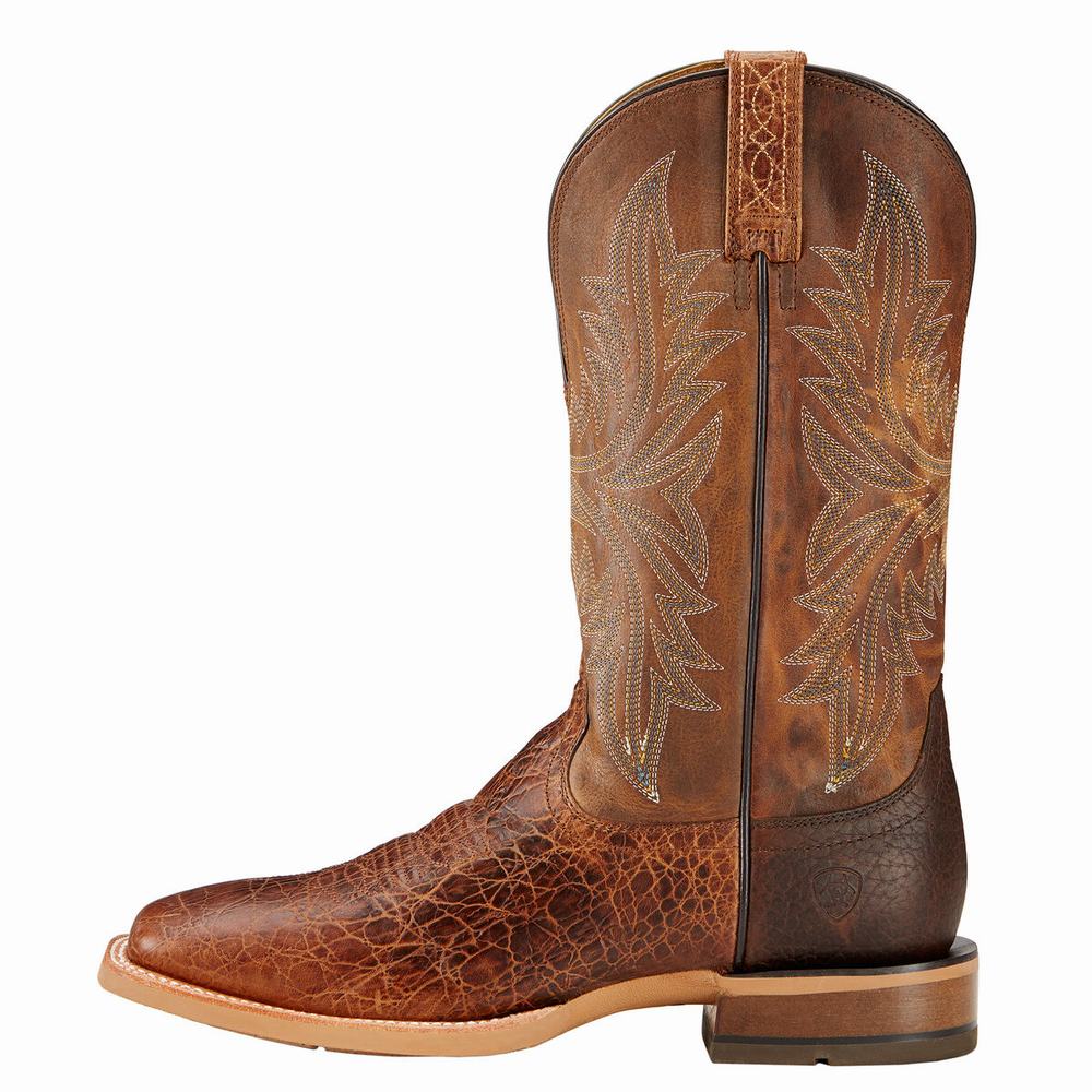 Stivali Western Ariat Cowhand Uomo Colorate | IT389HGJT