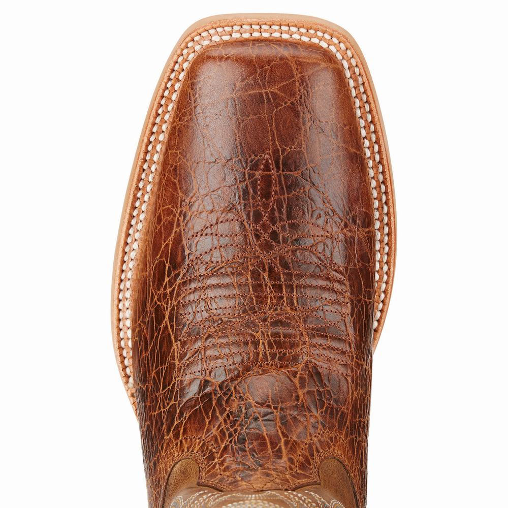 Stivali Western Ariat Cowhand Uomo Colorate | IT389HGJT