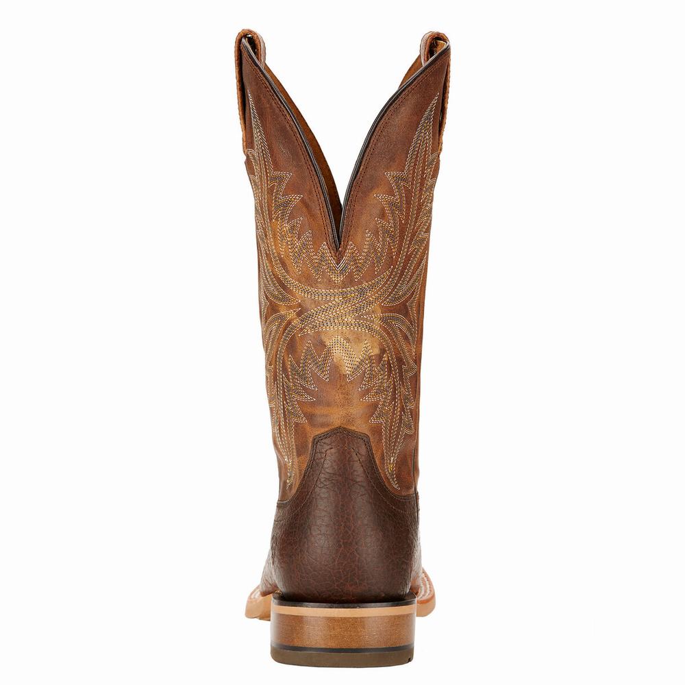 Stivali Western Ariat Cowhand Uomo Colorate | IT389HGJT