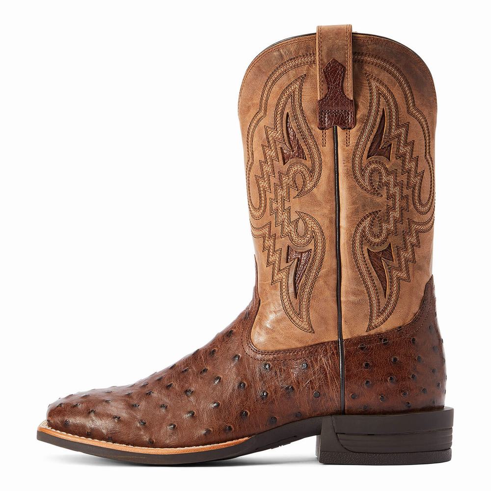 Stivali Western Ariat Dagger Uomo Colorate | IT603KACS