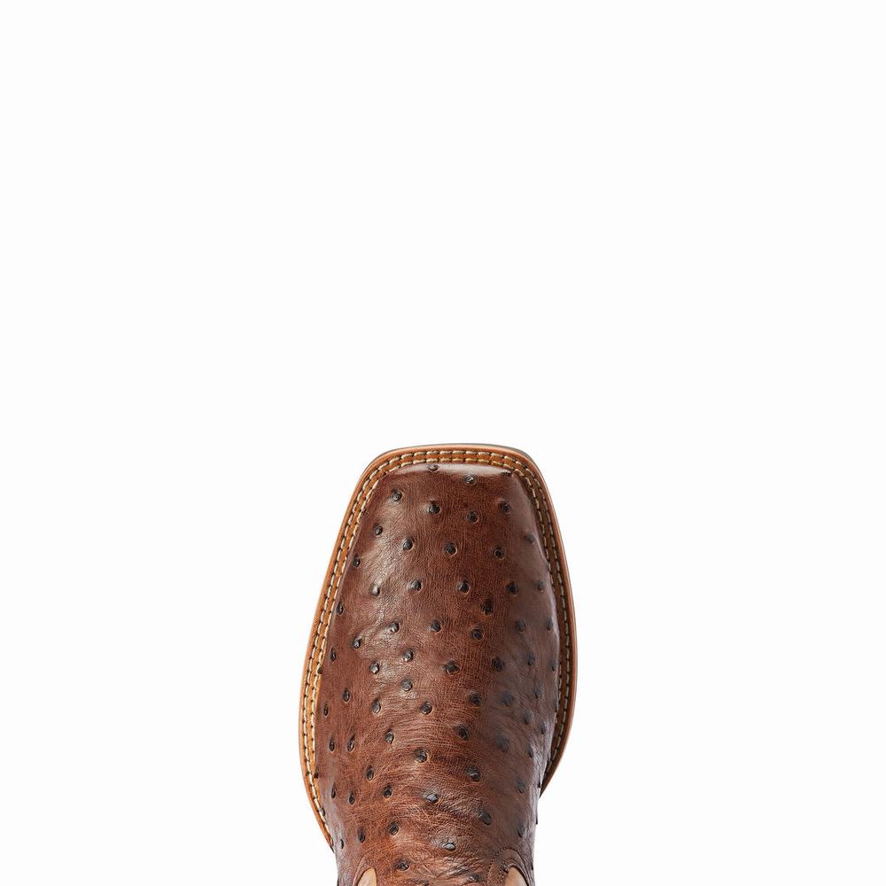 Stivali Western Ariat Dagger Uomo Colorate | IT603KACS