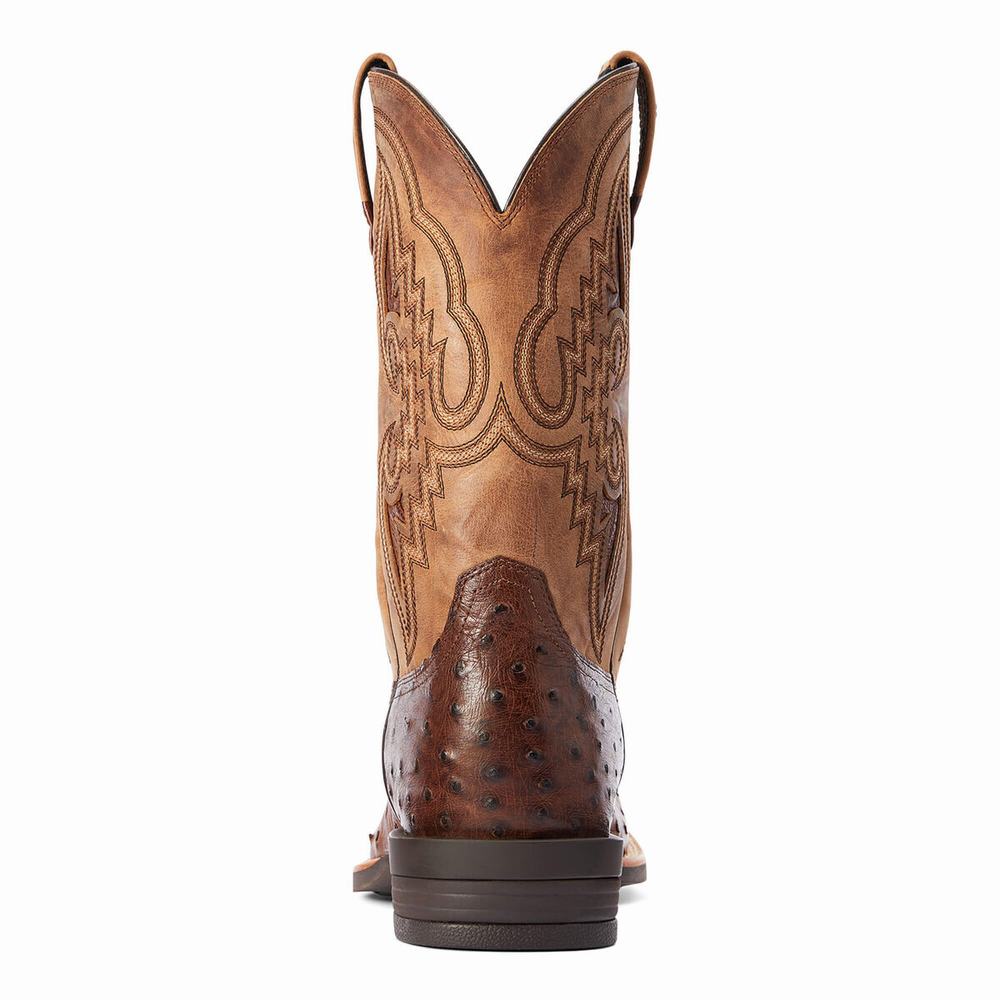 Stivali Western Ariat Dagger Uomo Colorate | IT603KACS